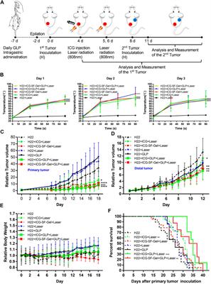 Ganoderma Lucidum Polysaccharides Enhance the Abscopal Effect of Photothermal Therapy in Hepatoma-Bearing Mice Through Immunomodulatory, Anti-Proliferative, Pro-Apoptotic and Anti-Angiogenic